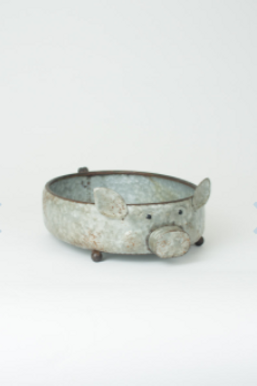 Ganvanized Metal Pig Tray