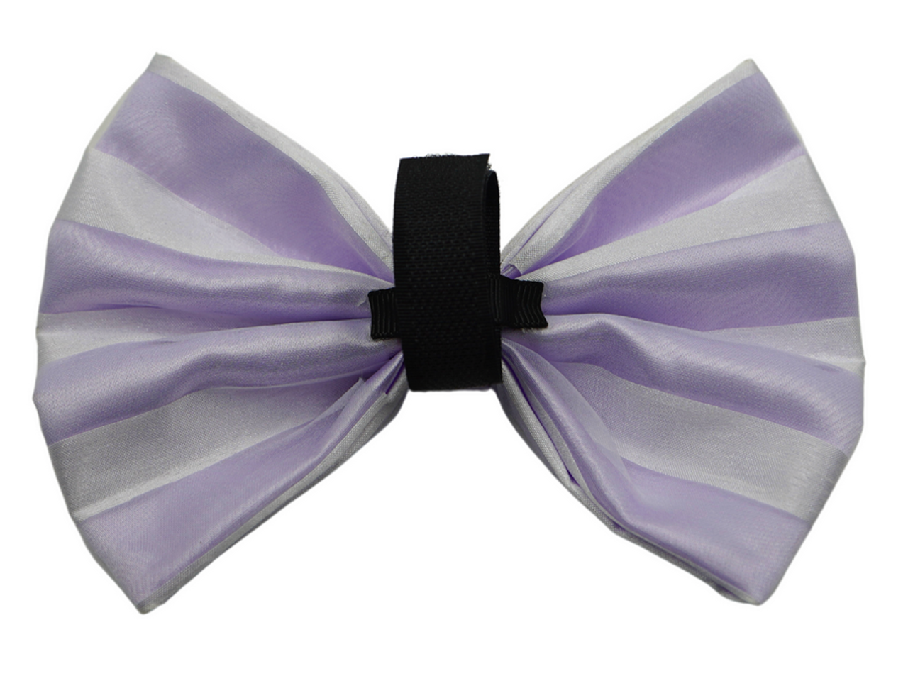 PR3006VA|Pets Ribbons - S002564B002747P000107V012