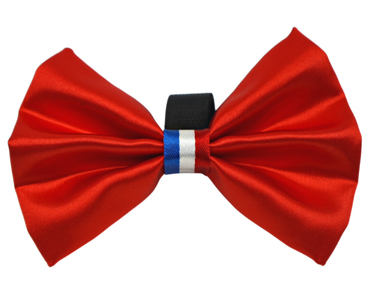 PR3009|Pets Ribbons - S002564B002747P000111V002
