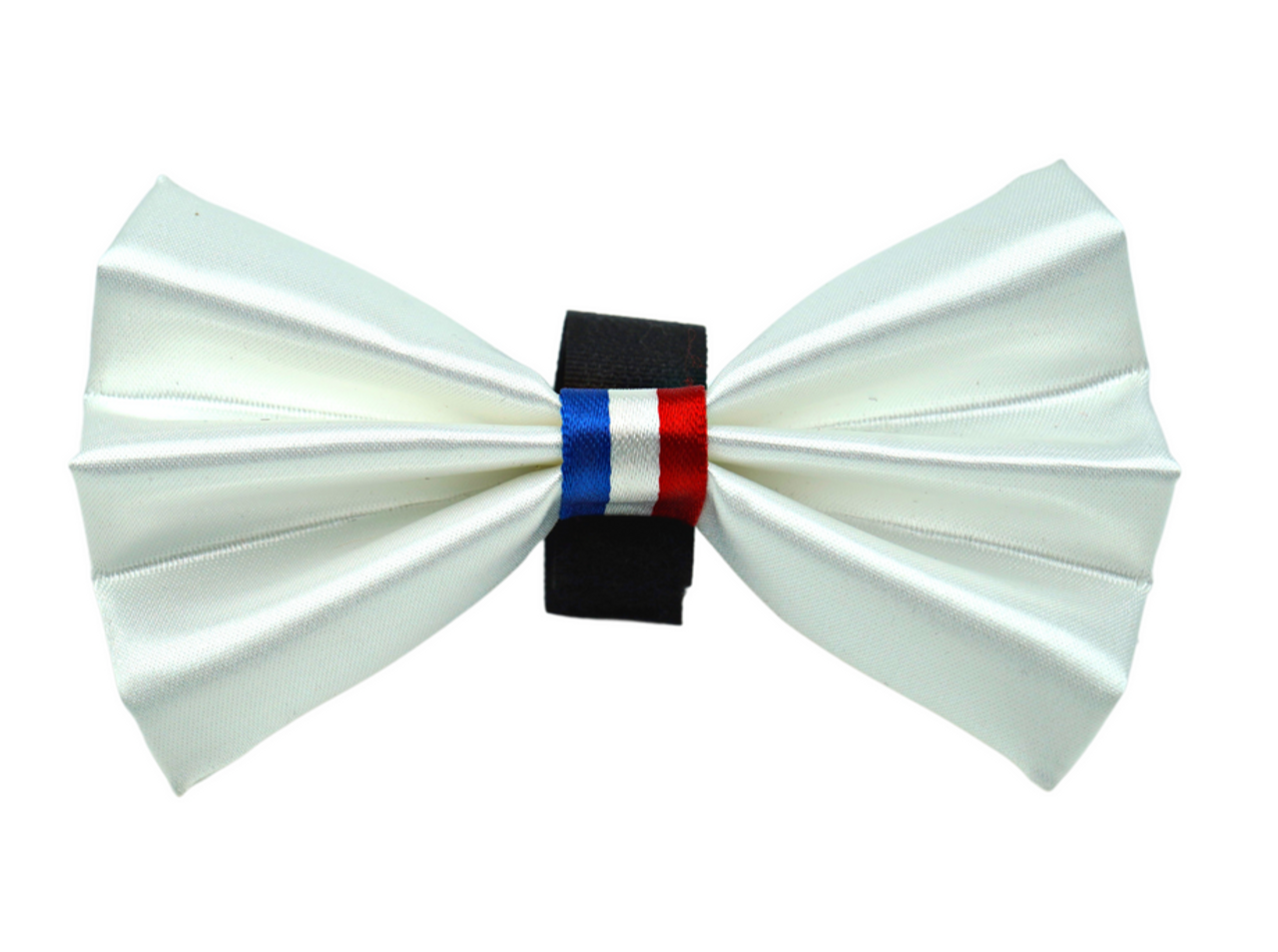 PR3009|Pets Ribbons - S002564B002747P000111V012