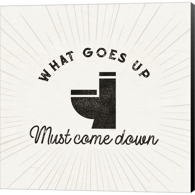 Bath Art IX-What Goes Up by Tara Reed, Canvas Art