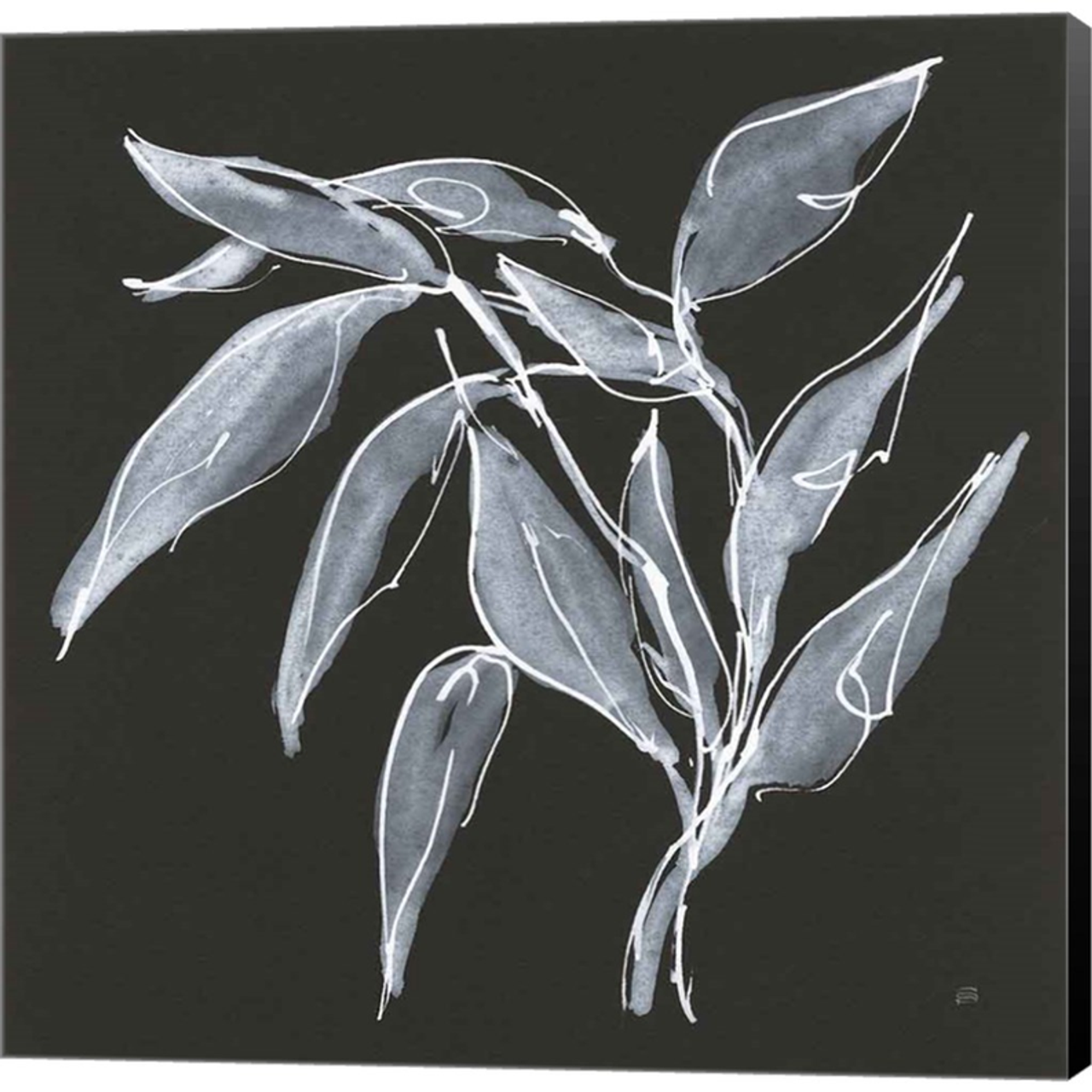 Branch II by Chris Paschke, Canvas Art - C1080080-0240000-8CAAAMA