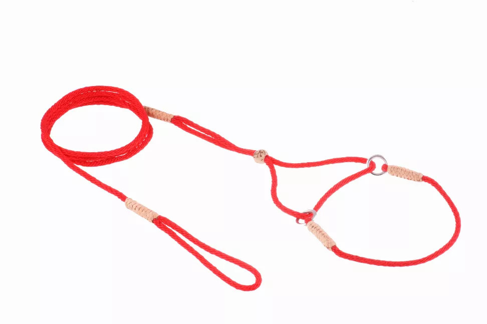 Alvalley Nylon Martingale Leads - S001009B001760P000019V002