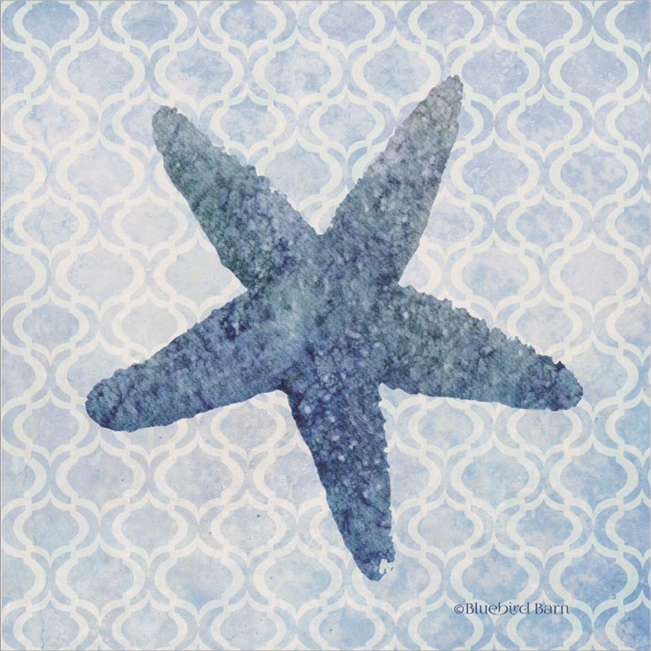 Starfish II by Bluebird Barn, Framed Wall Art