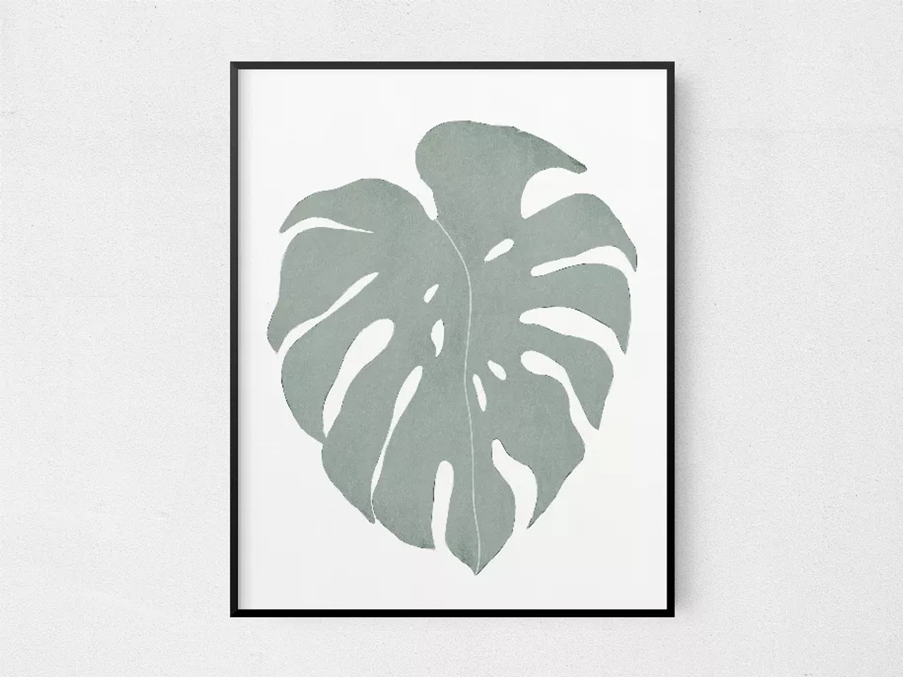 Monstera - TCP_57AP0075