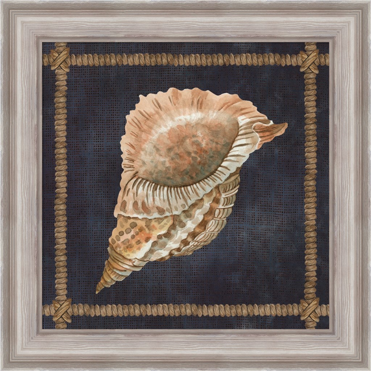 Seashell on Navy VI by Cindy Jacobs, Framed Wall Art