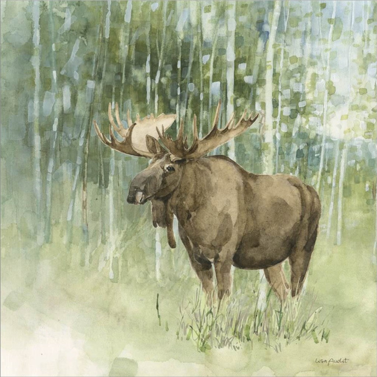 Nature's Call V by Lisa Audit, Canvas Art - C1089583-0240000-AAAACMA