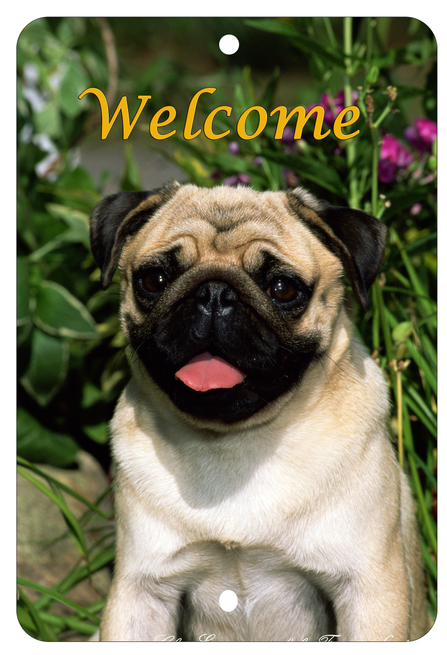 Pug Fawn - Best of Breed  Indoor/Outdoor Aluminum Sign