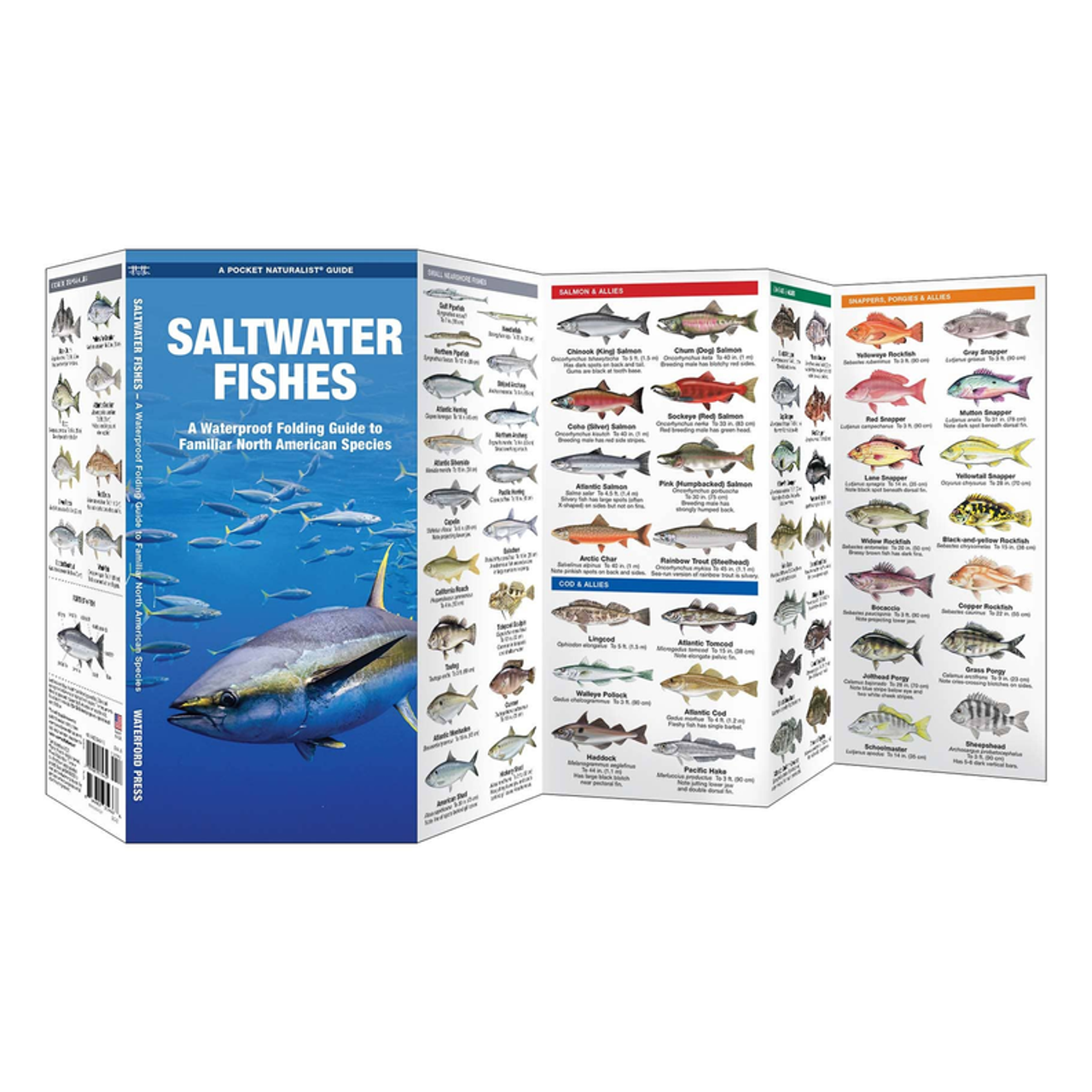 Saltwater Fishes, 2nd Ed