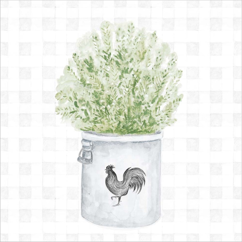 Farm Herbs II by Janice Gaynor, Framed Art