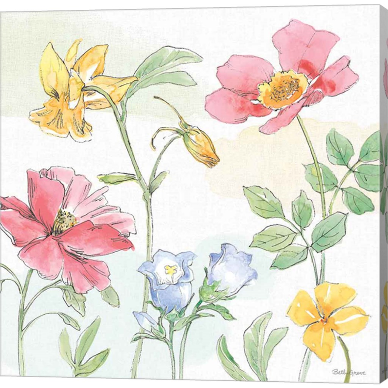 Peaceful Petals VIII by Beth Grove, Canvas Art - C1084585-0120000-AAAACMA