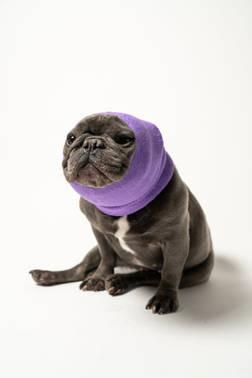 PET HOODZ DOG HOODIES FOR ANXIETY - S002439B002694P000004V005