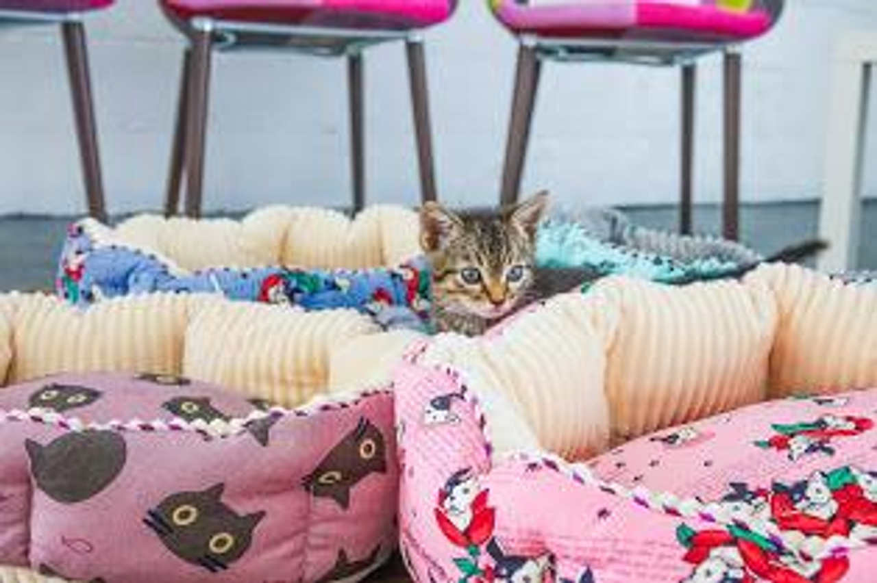 Reversible Round Pet Bed