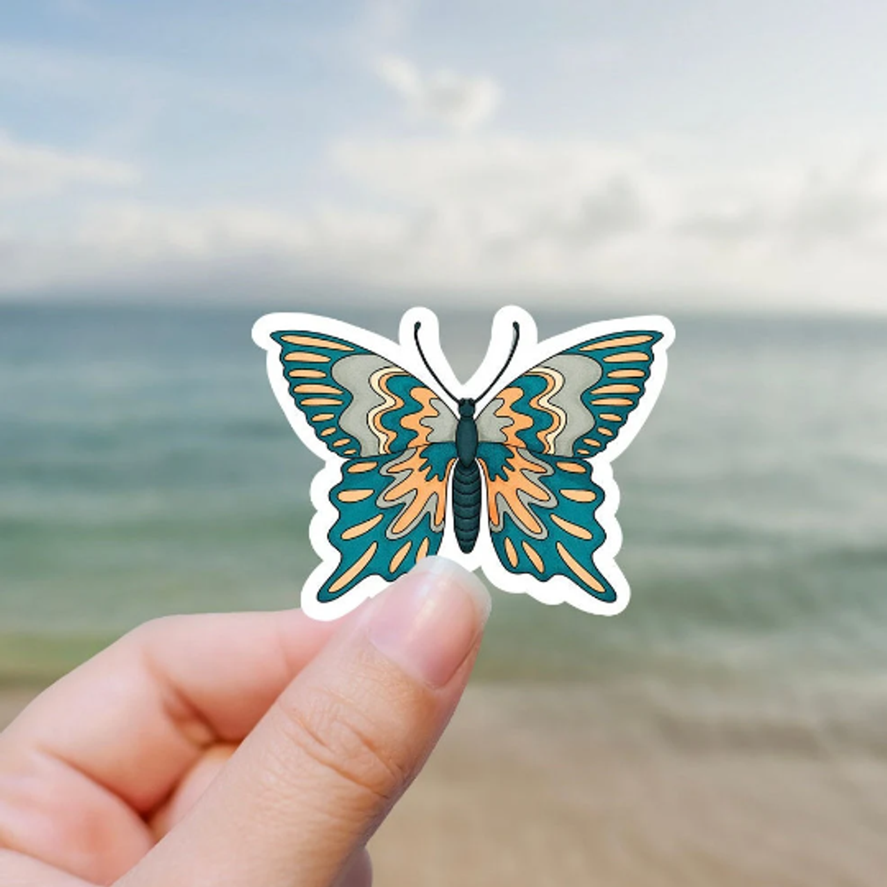 Butterfly retro With Math