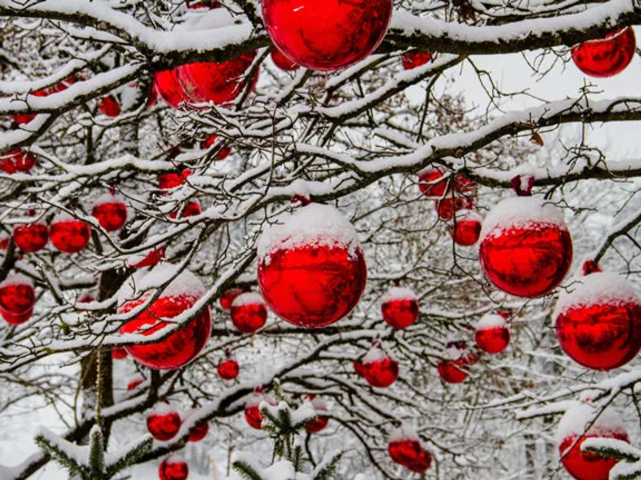 Christmas Puzzle - S001743B002210P000093V045