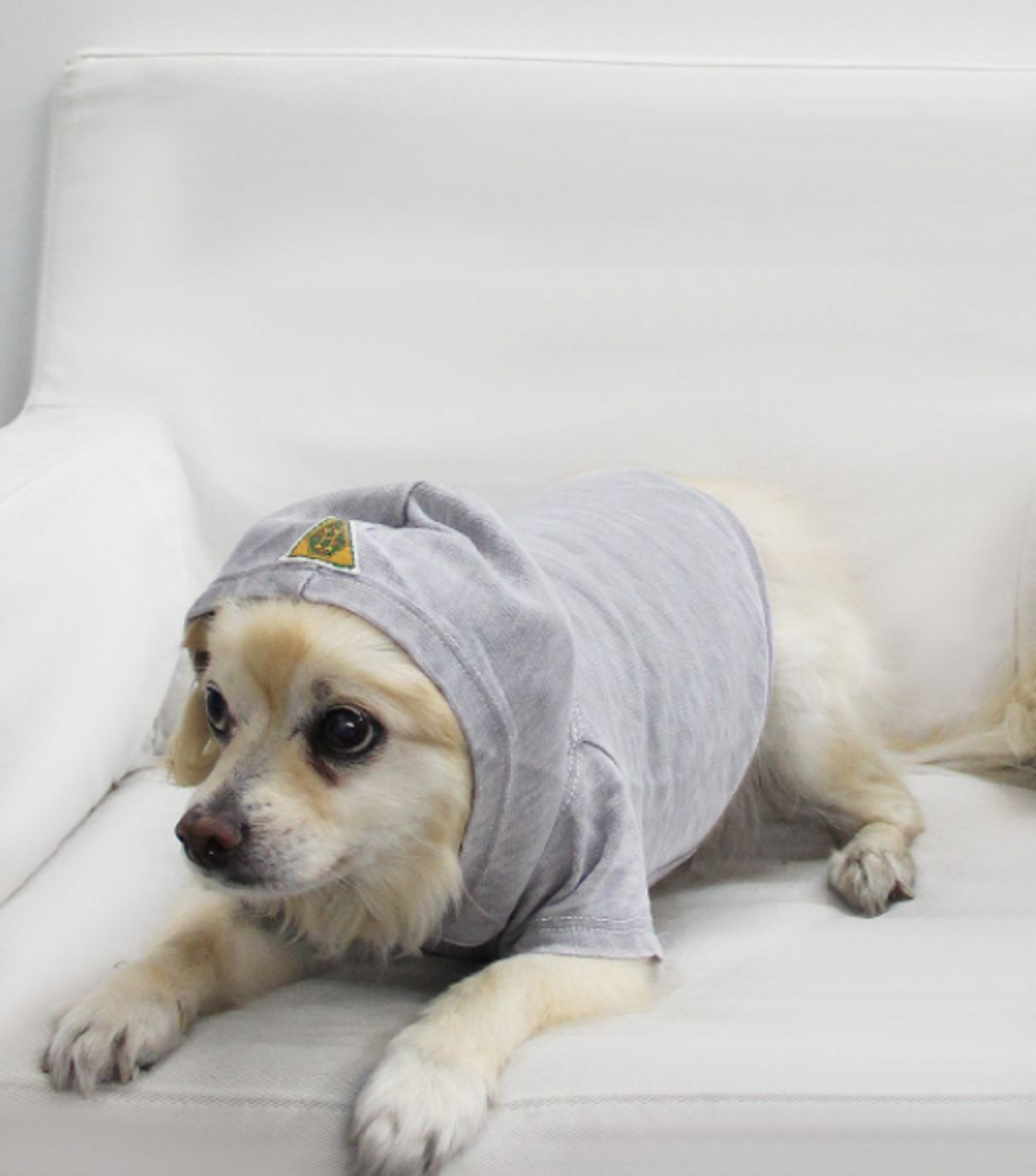 Doggy Hoodie French Terry - S000341B001390P000003V002