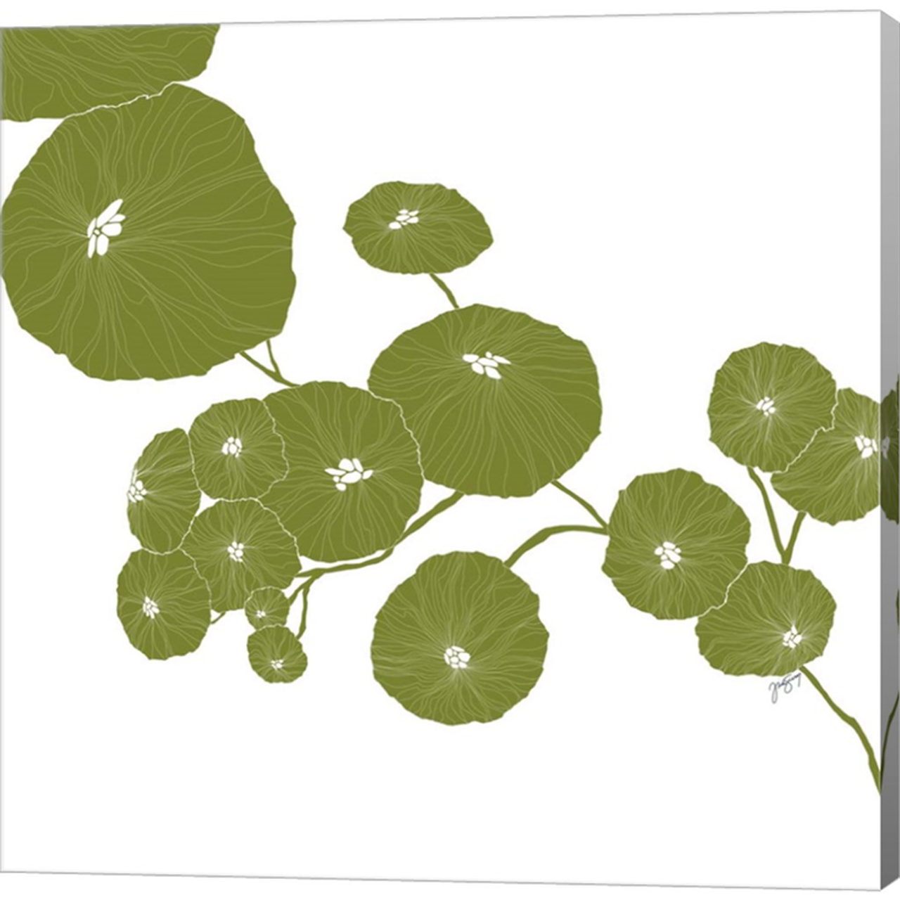 Pilea by Trish Sierer, Canvas Art - C1078348-0240000-AAAACMA