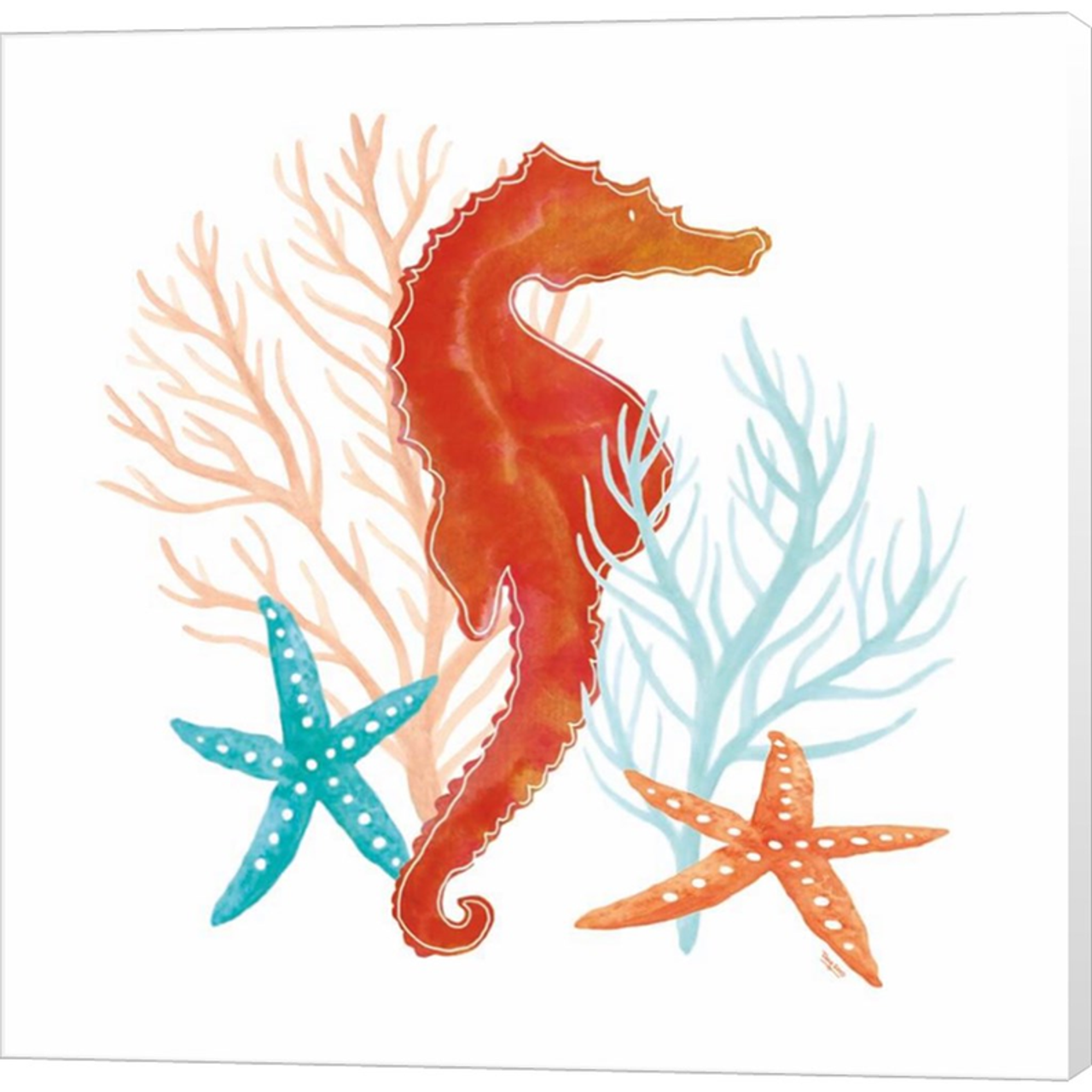 Coral Aqua XI by Tara Reed, Canvas Art