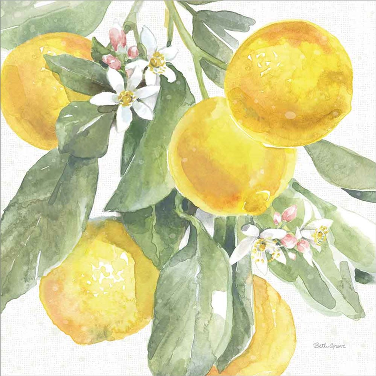 Citrus Charm Lemons II by Beth Grove, Canvas Art - C1066088-0120000-YCEAAMA