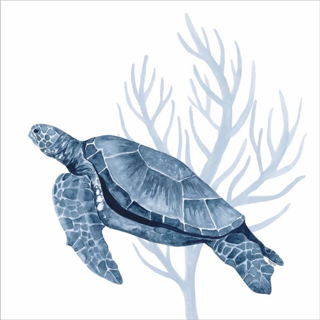 Deep Blue Sea XVIII by Tara Reed, Canvas Art - C1080422-0120000-YCDQAMA