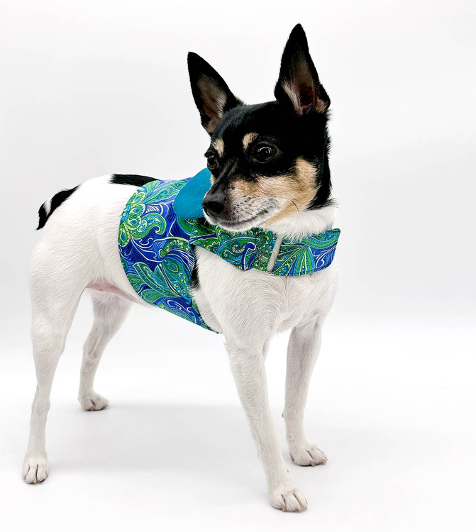DCNY "Pretty in Paisley" Vest-Style Harness - dcny-bgpvest-sm