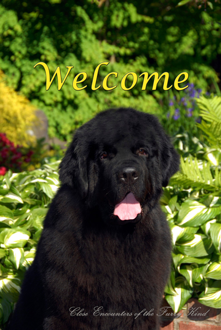 Newfoundland - Close Encounters of the Furry Kind Welcome  House and Garden Flags