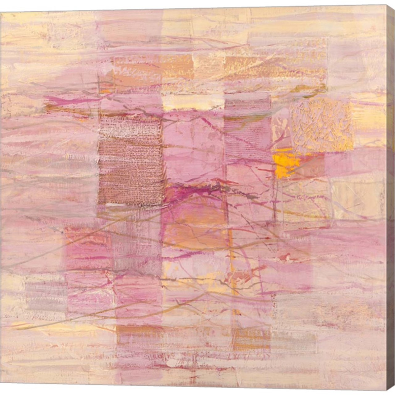 Monocromo Rosa by Lucas, Canvas Art - C1077984-0120000-AAAACMA