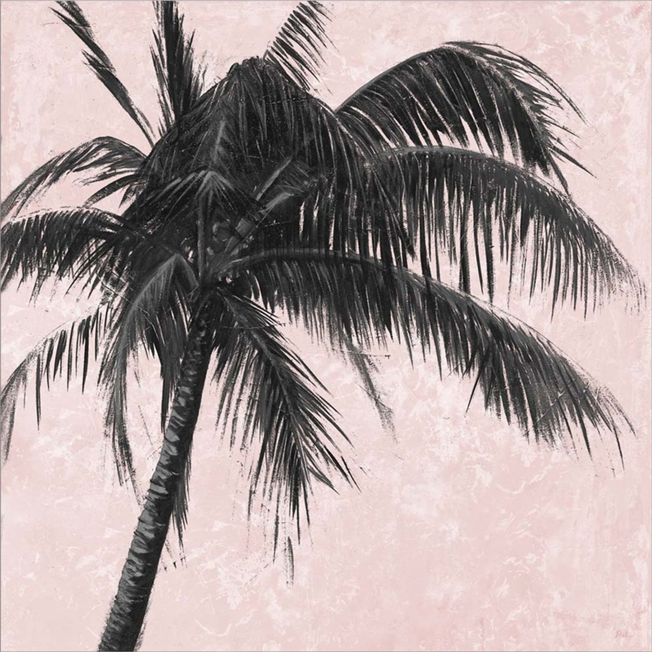 Gray Palm on Pink I by Patricia Pinto, Canvas Art