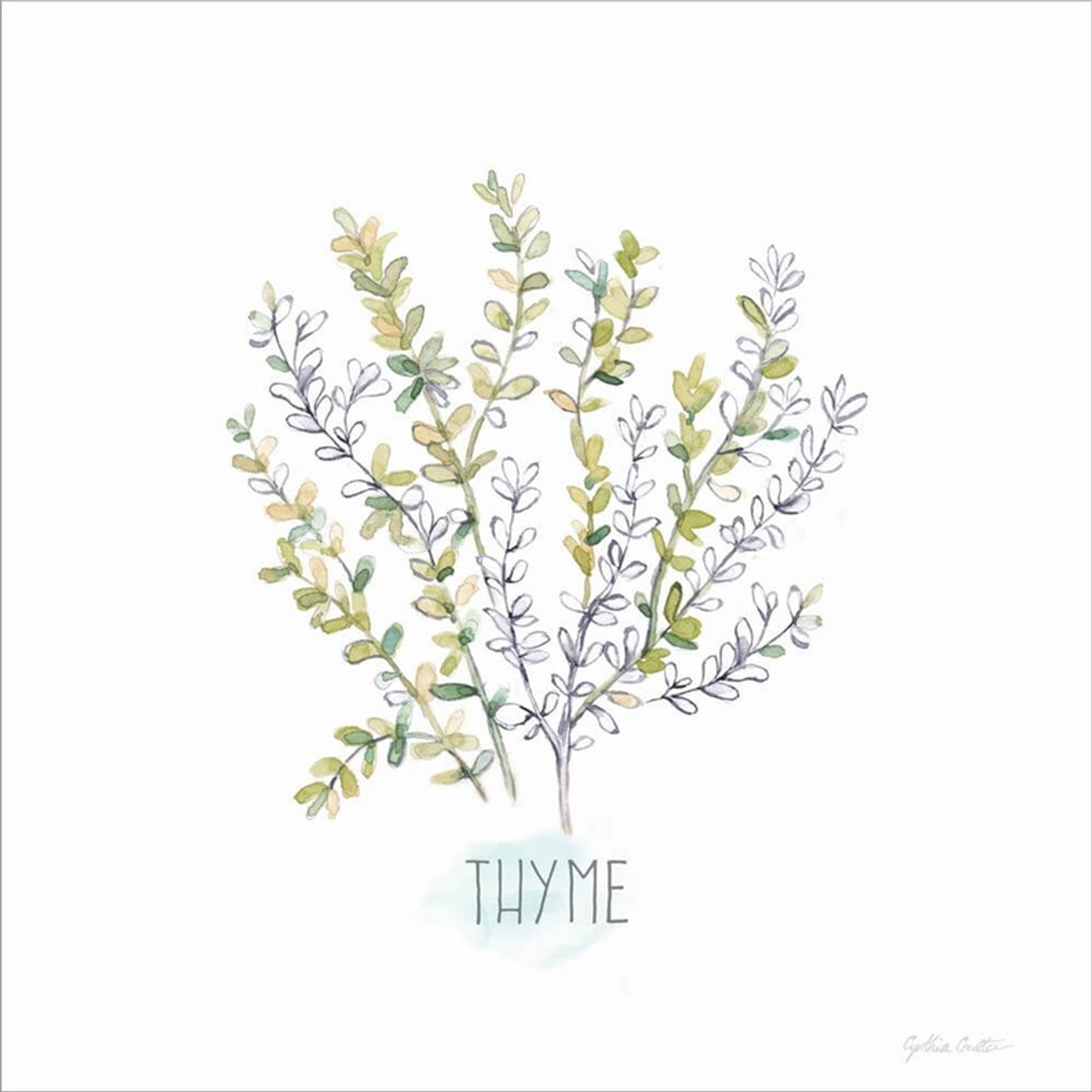 Let it Grow XVII by Cynthia Coulter, Canvas Art - C1088198-0240000-AAAACMA