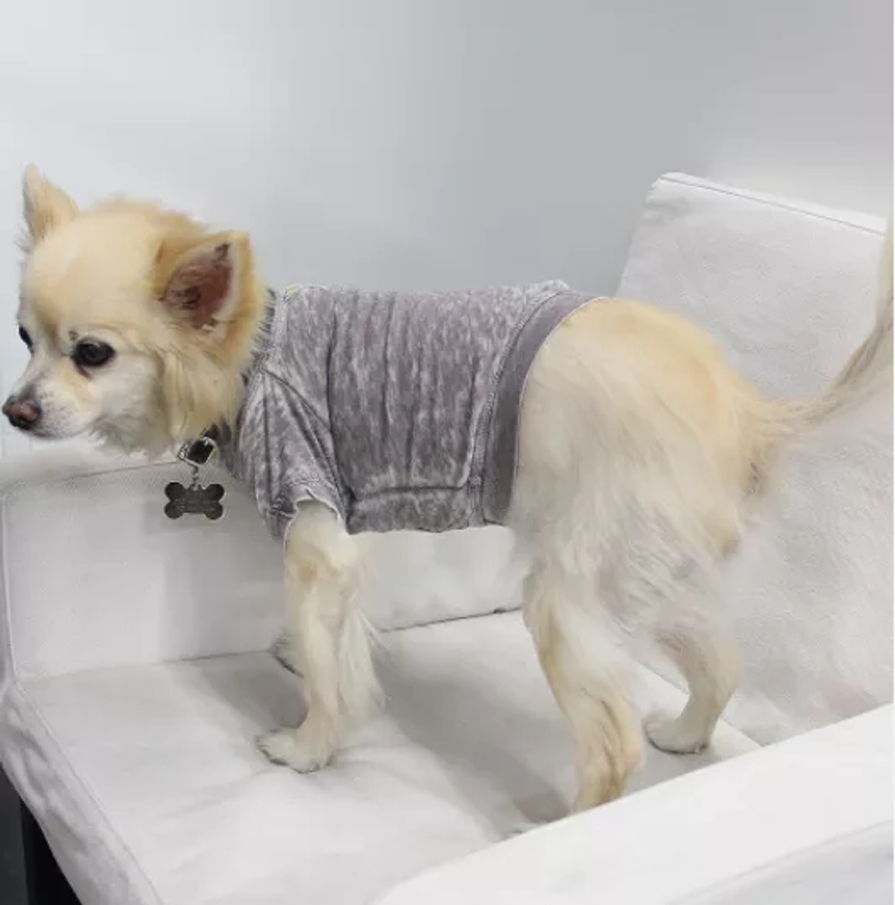 Doggy Tee - S000341B001390P000001V010