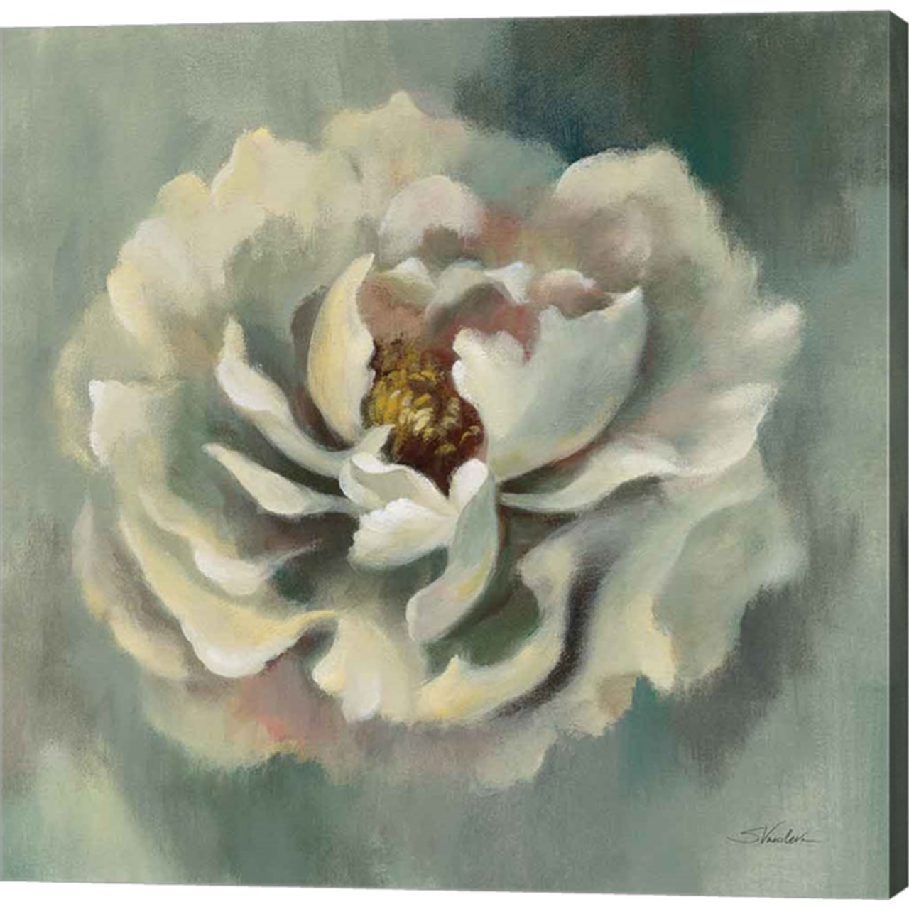 Dancing Petals by Silvia Vassileva, Canvas Art - C1075318-0240000-AAAACMA