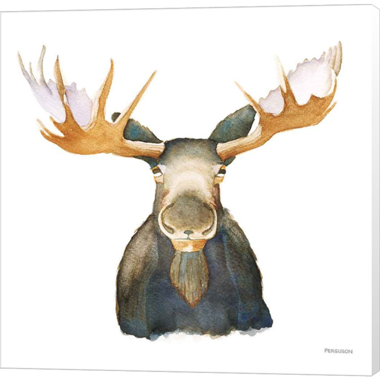 Moose by Kathy Ferguson, Canvas Art