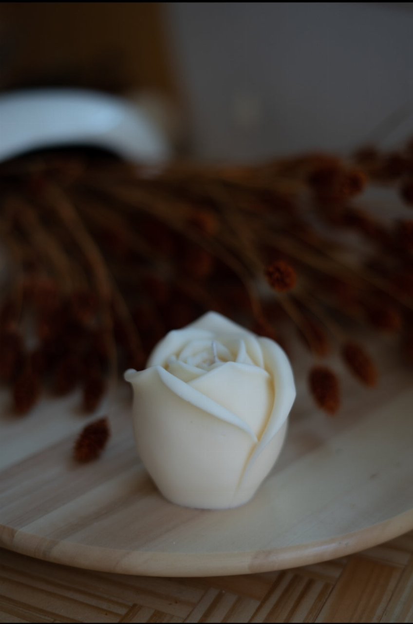 Petalos Candle Collection - 12820307-2