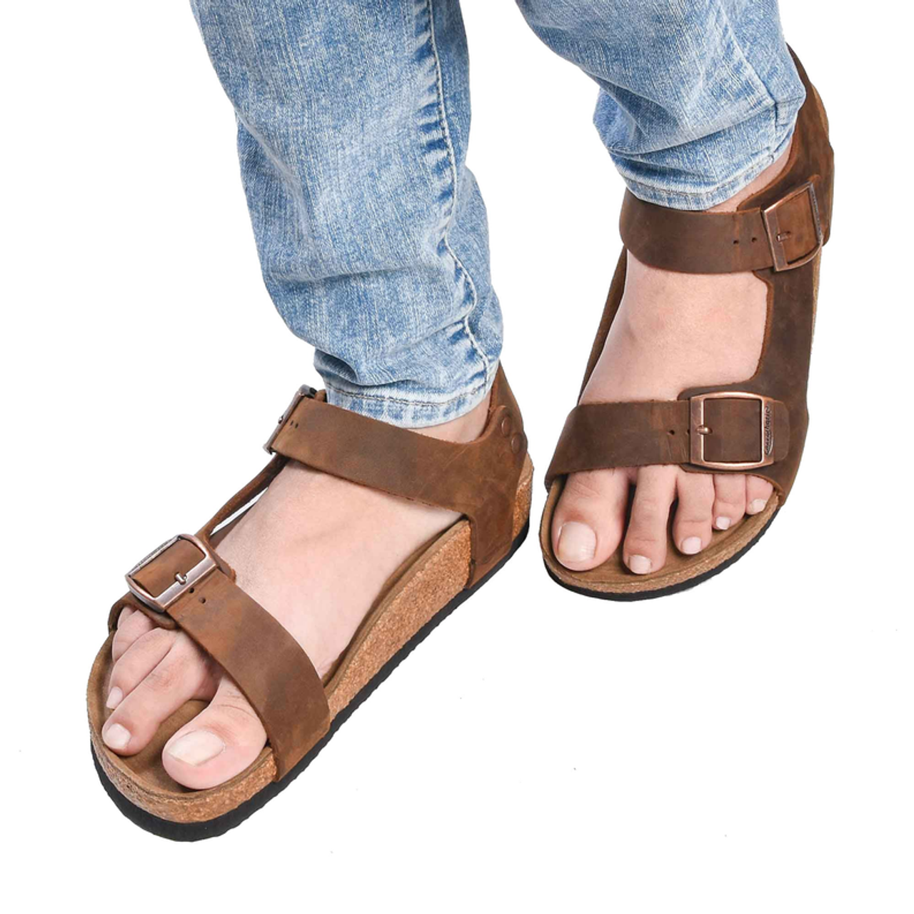 152454501.png 152454501.png