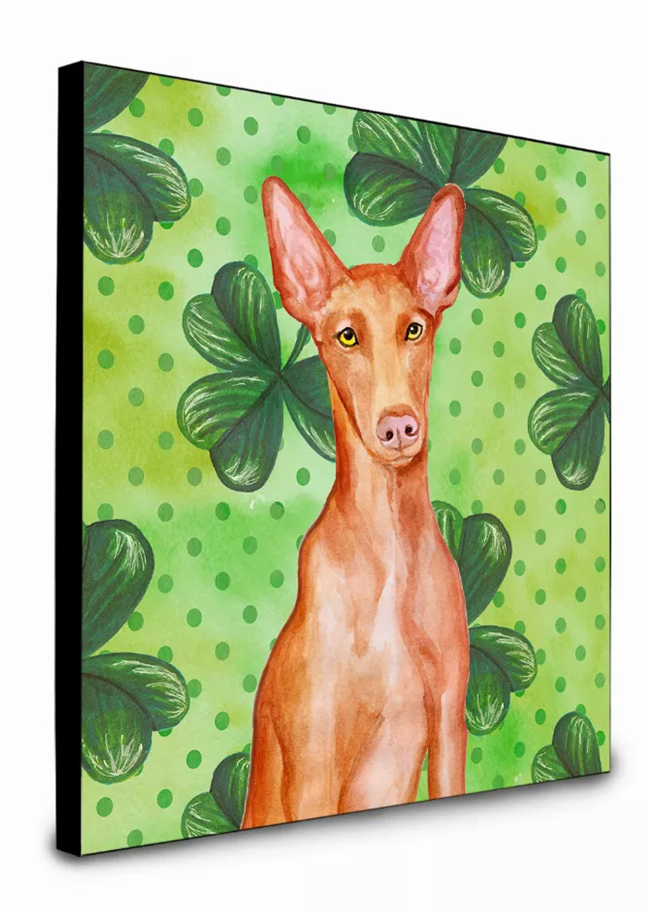 St Patrick's Dog Artwork Wall Panel - S000213B001695P016032V026