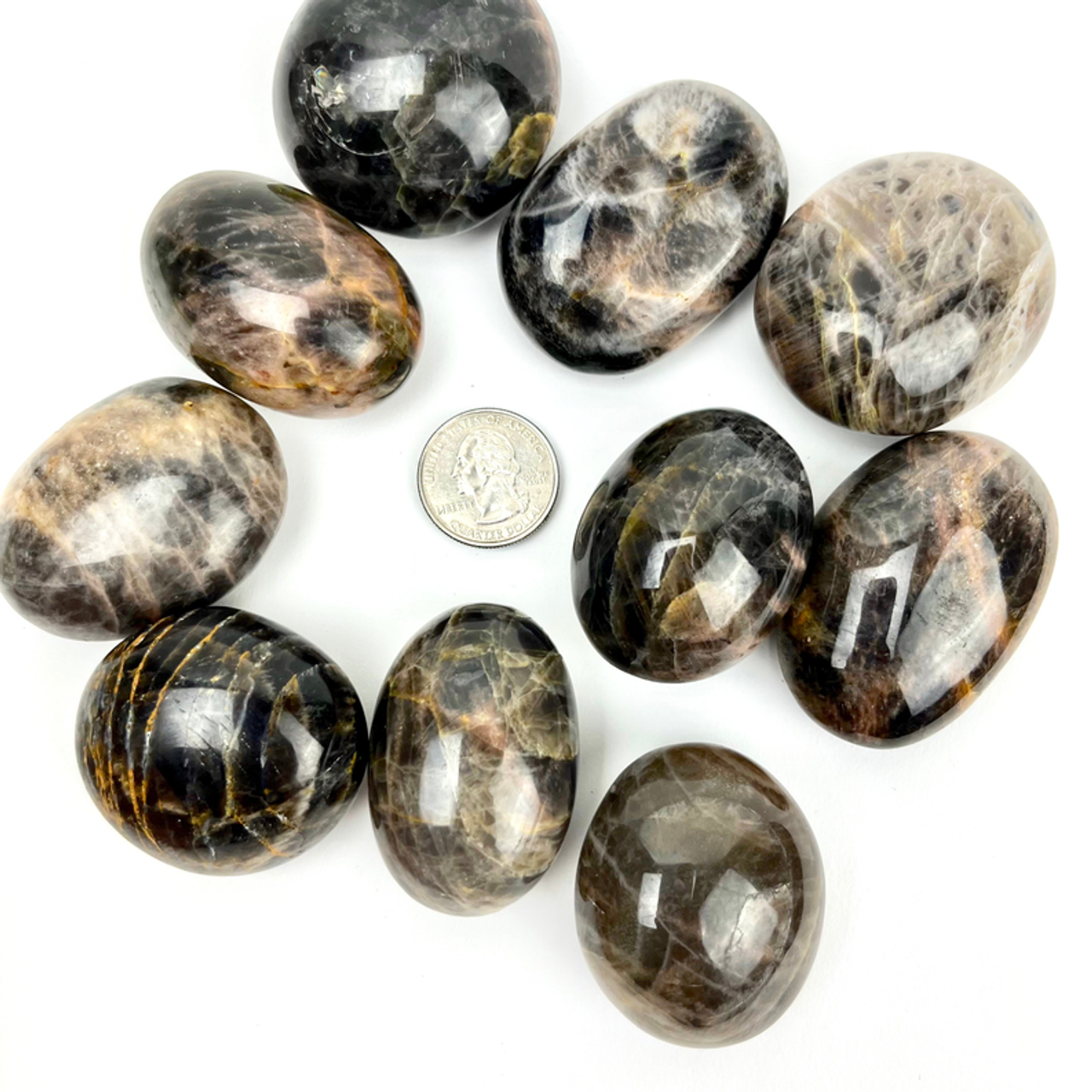 Black Moonstone | Palmstone | 45-55 mm | Madagascar