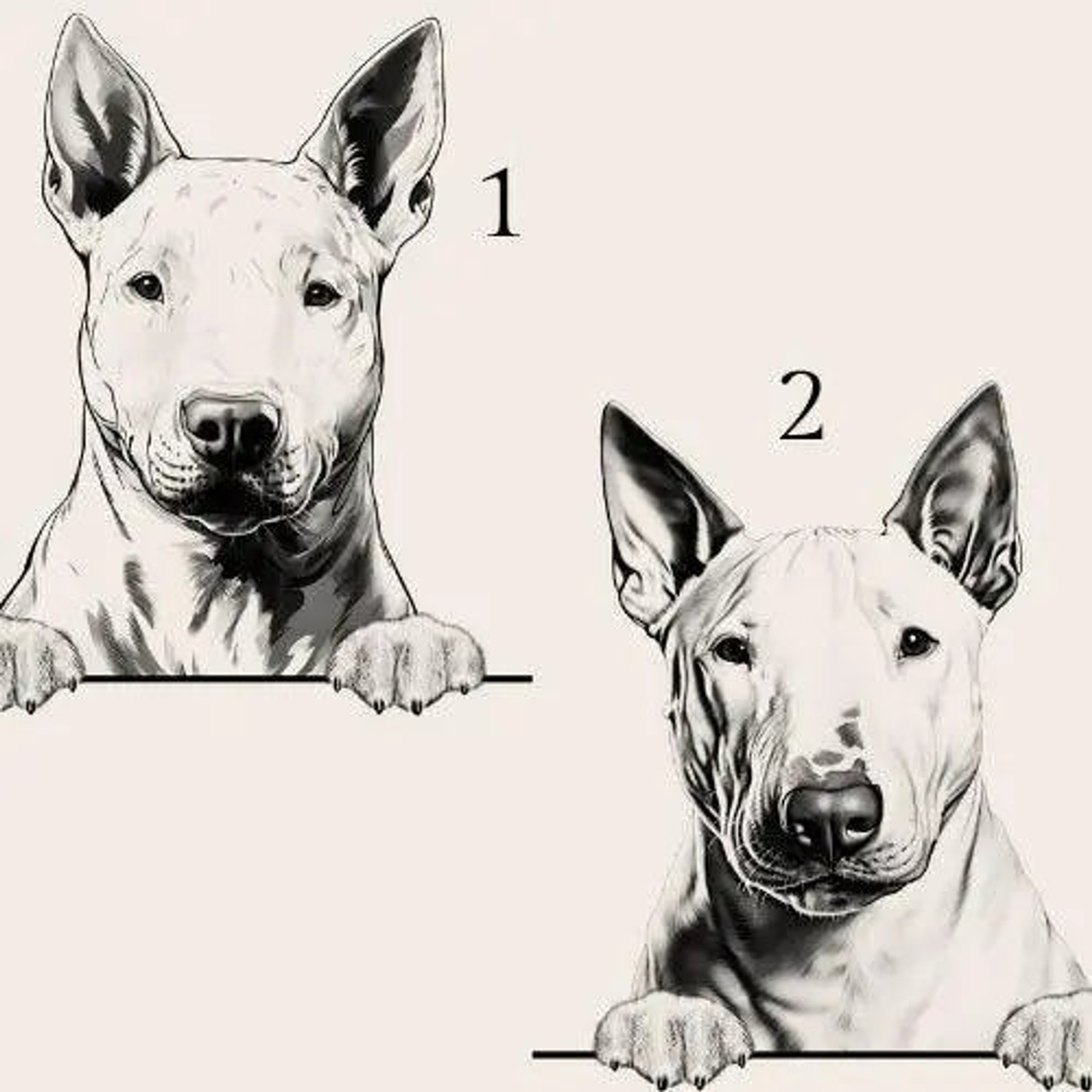 The Bull Terrier - Dog Breed Soy Wax Melts for Wax Warmers