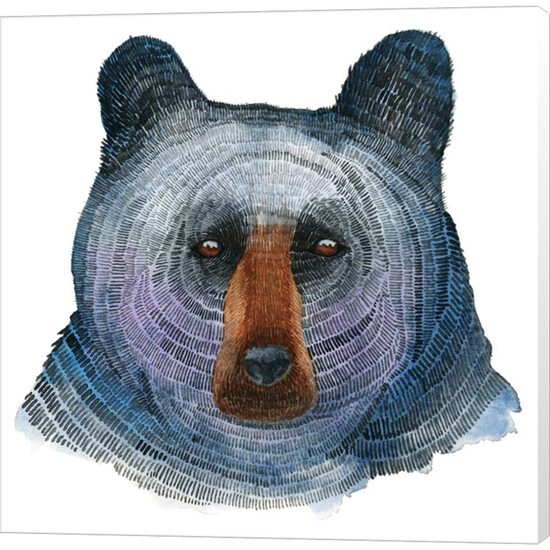 Black Bear by Jeannine Saylor, Canvas Art