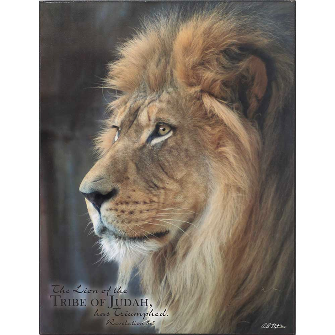 PLQ WALL LION OF TRIBE REV.5:5 MDF10X13