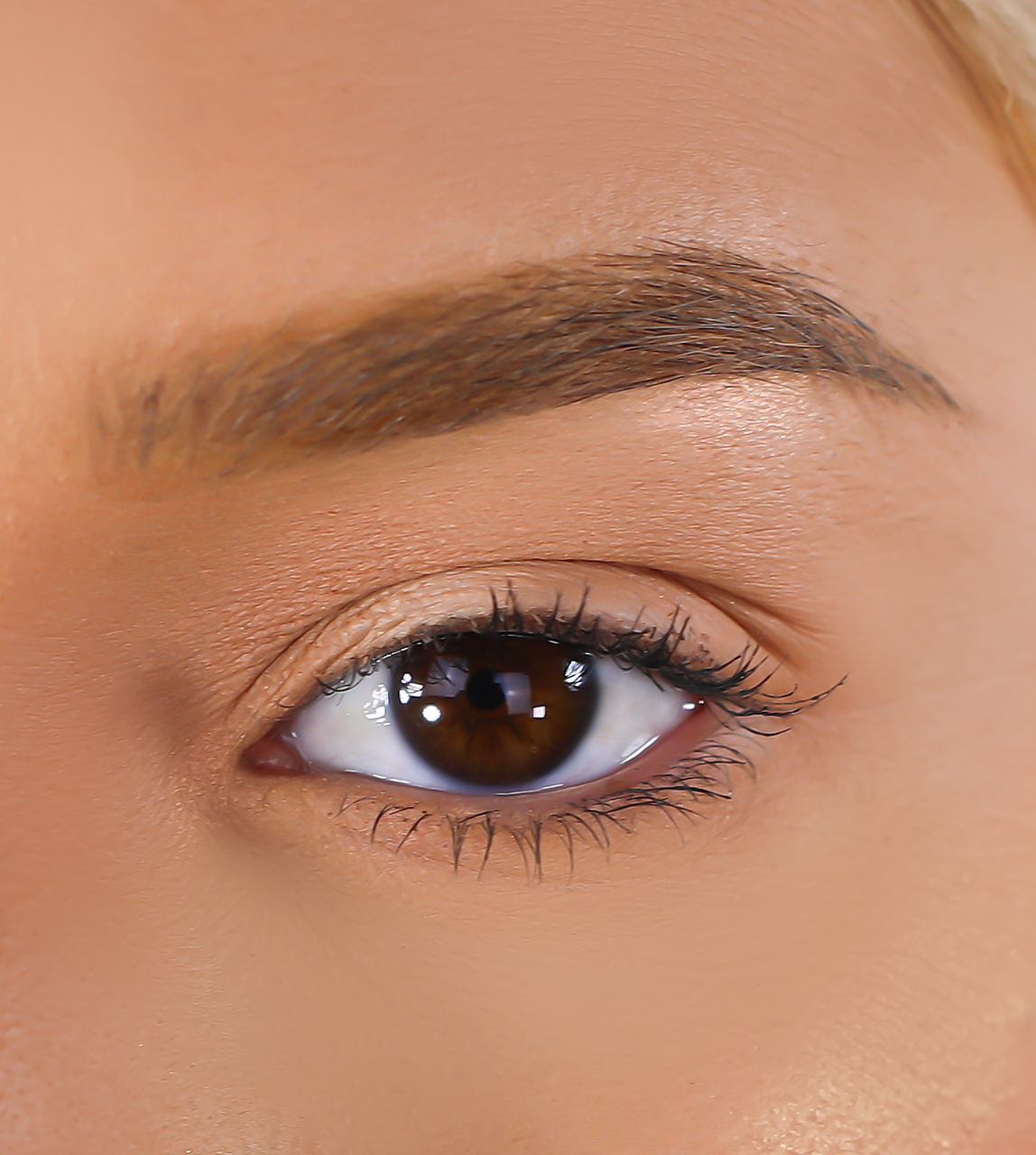 3D Mink Eyelashes - Blair