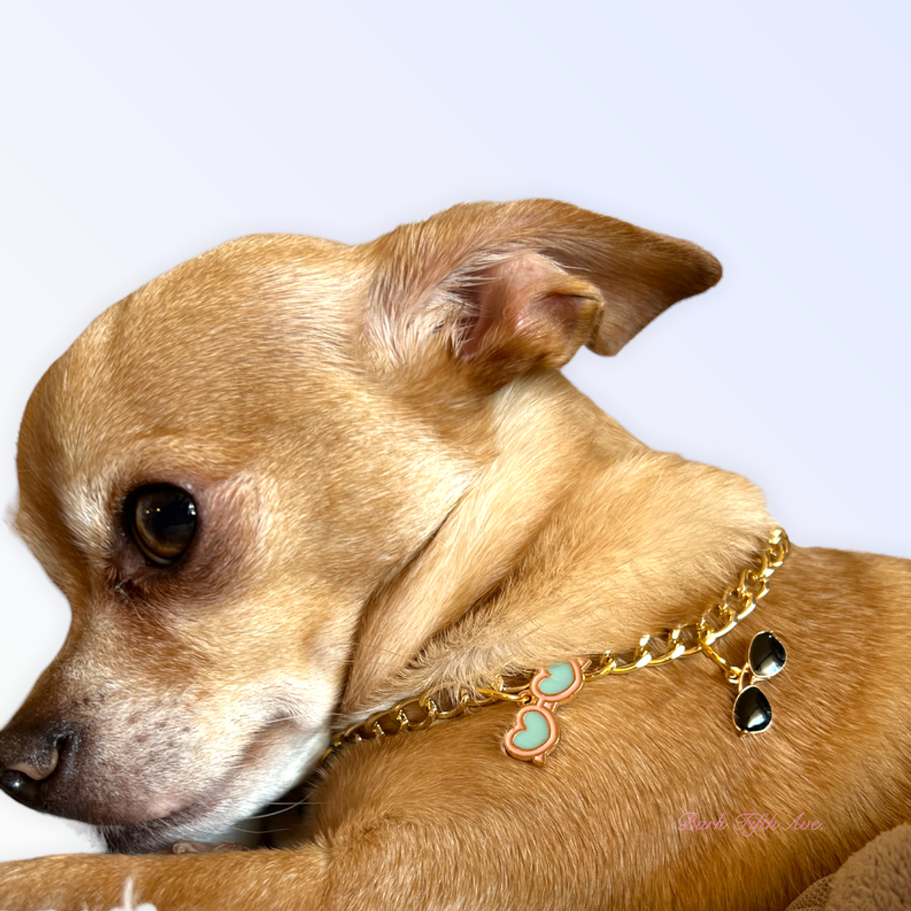 My Summertime Aviator Charm Toggle Necklace - BarkFifthAve2506