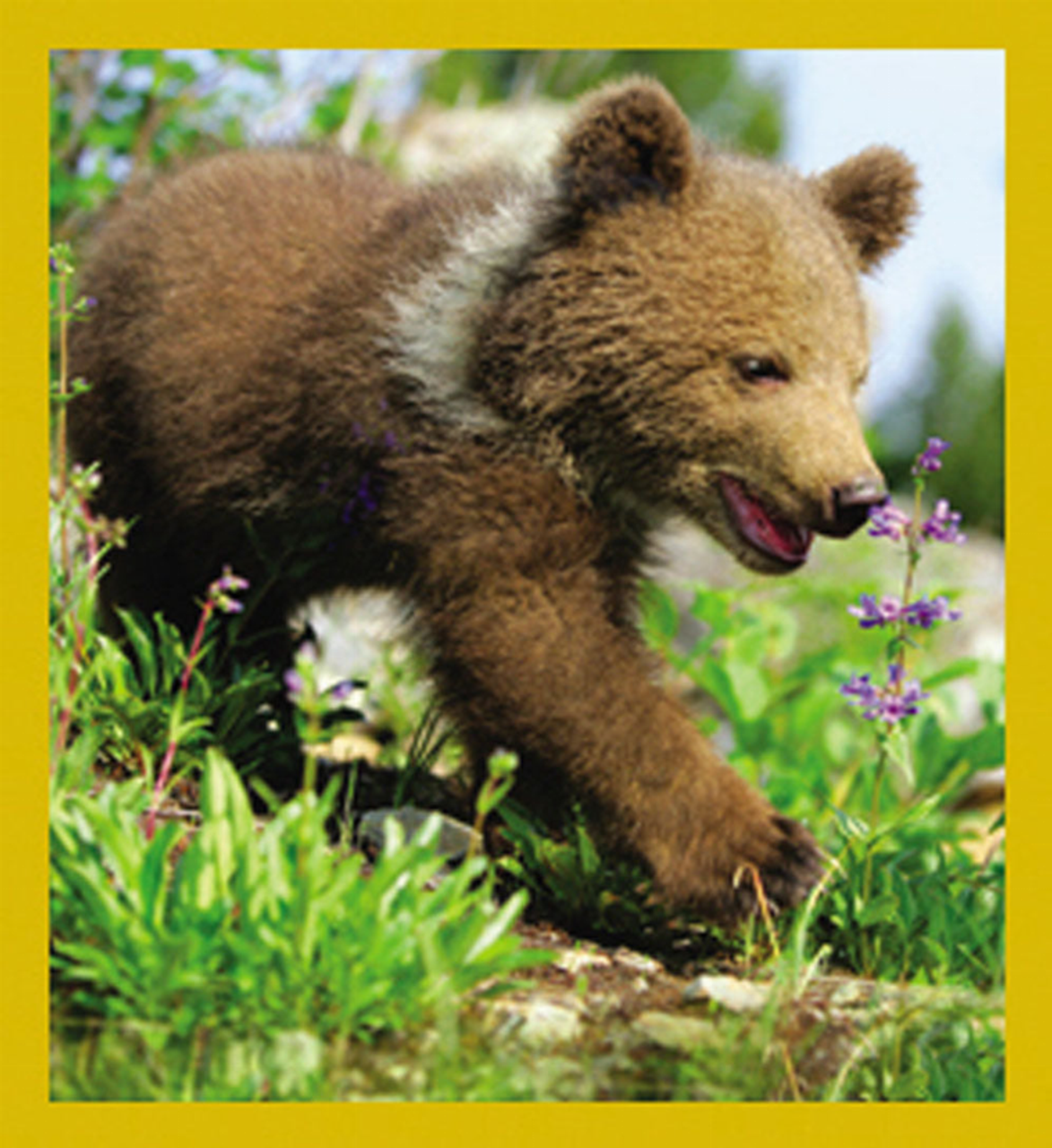 Out for a Stroll - Magnetic Bookmark
