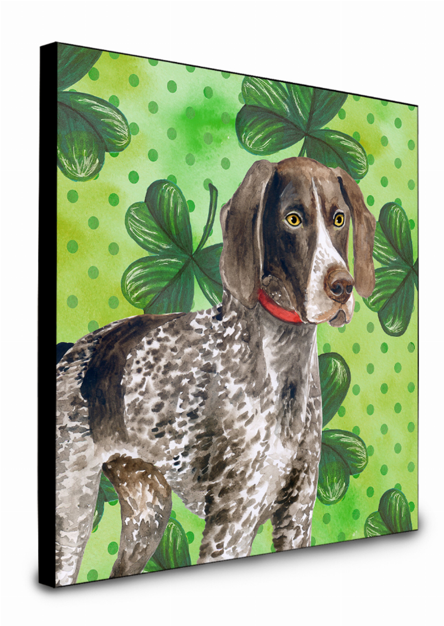 St Patrick's Dog Artwork Wall Panel - S000213B001695P016030V004