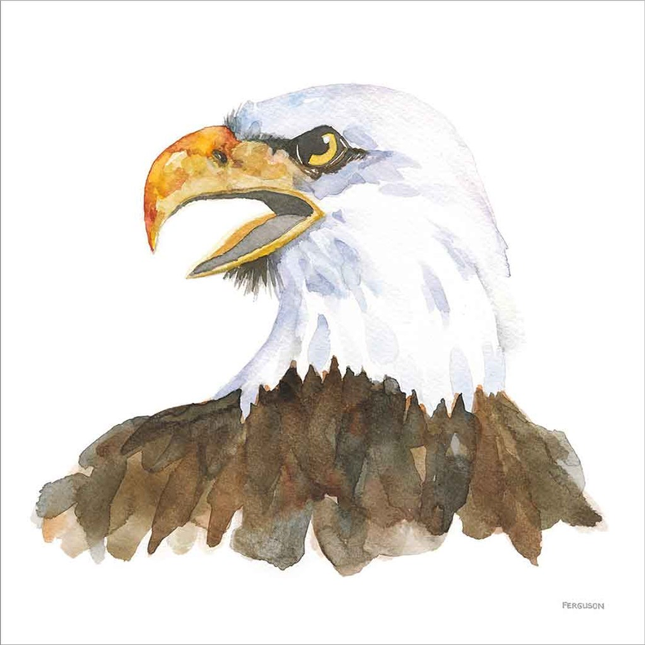 Bald Eagle by Kathy Ferguson, Canvas Art