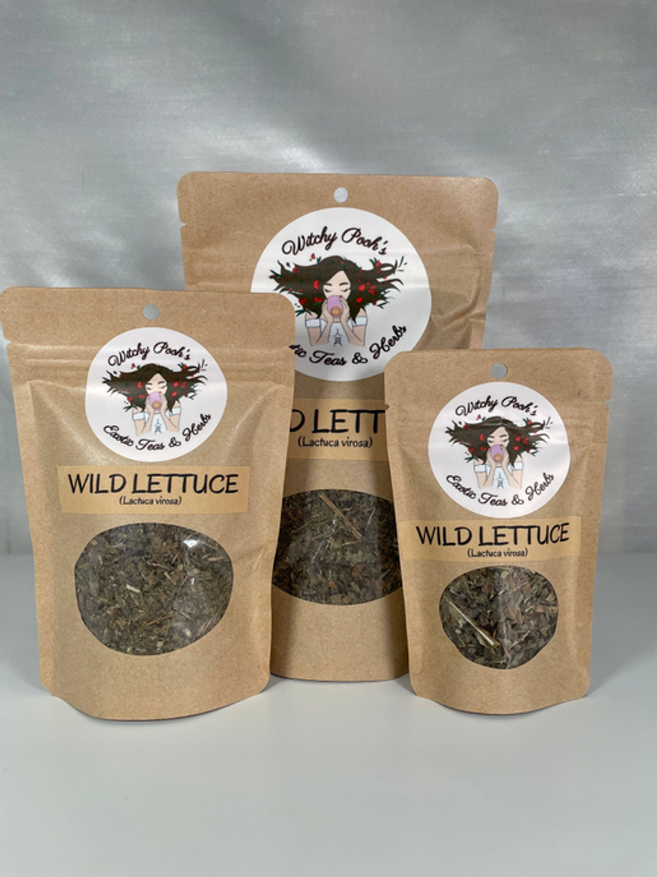 Wild Lettuce (Lactuca virosa) - WP-W-H-0080-3-W-S