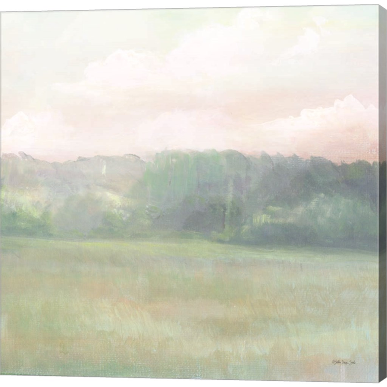 Peaceful Calm 2 by Stellar Design Studio, Canvas Art - C1080764-0240000-AAAACMA