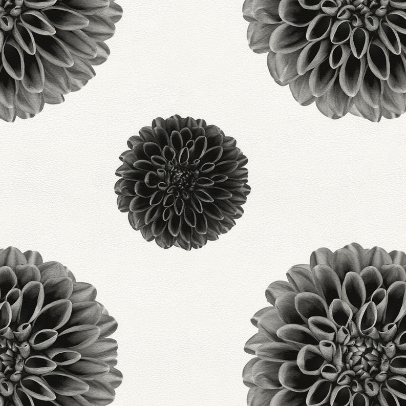 Blossom' Floral Non-Slip Indoor/Outdoor Rug - BLOSSOM_NOIR-30X96