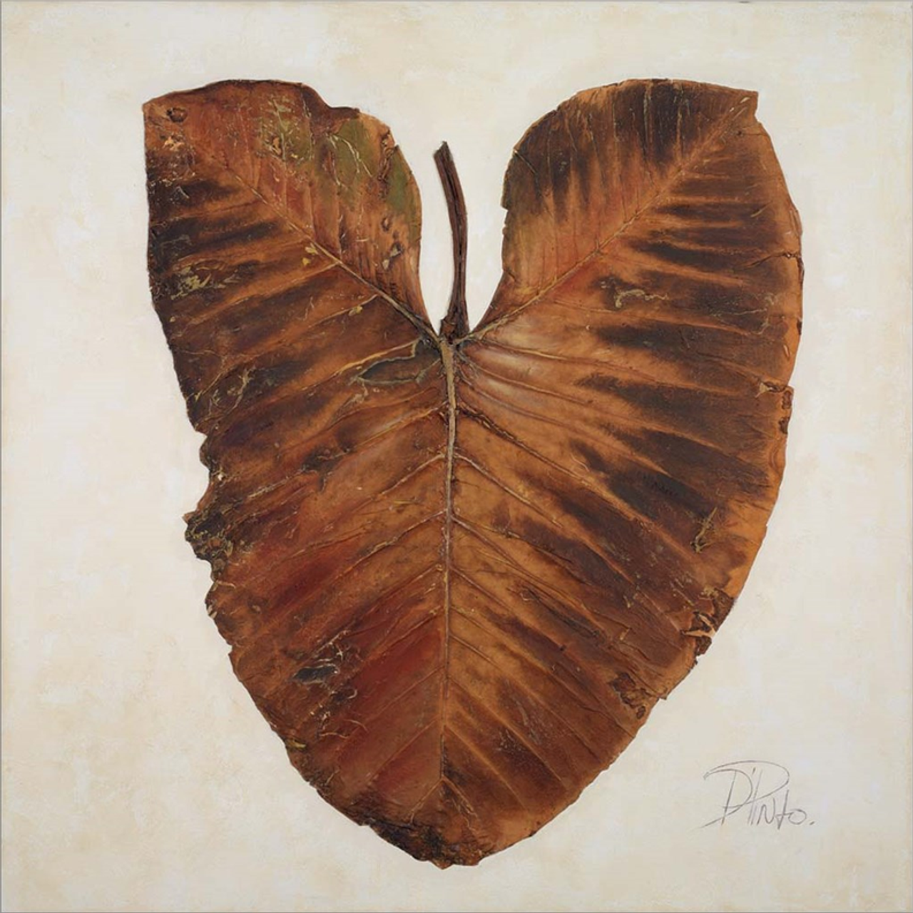 Amazonas I by Patricia Pinto, Framed Art