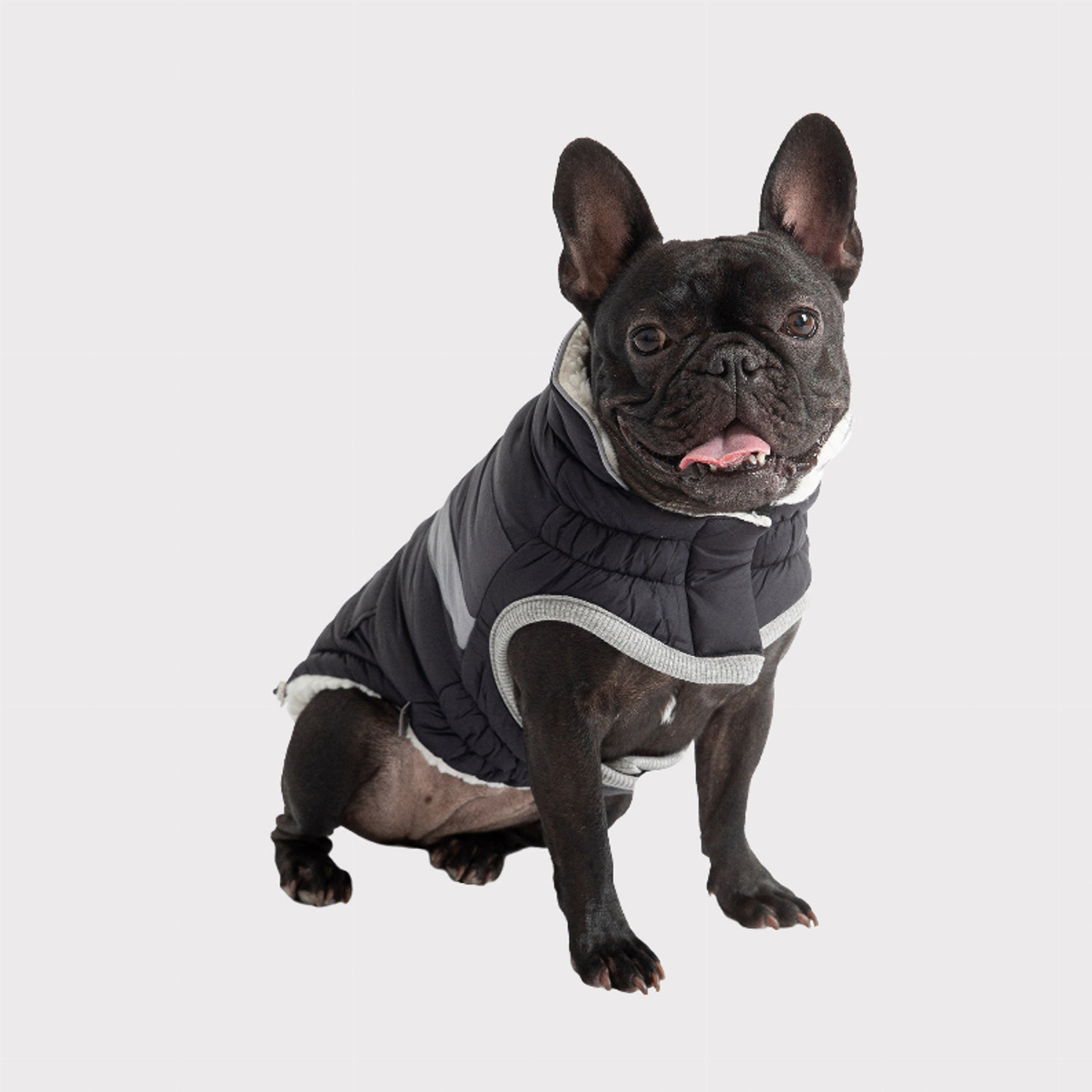 153339303.png 153339303.png