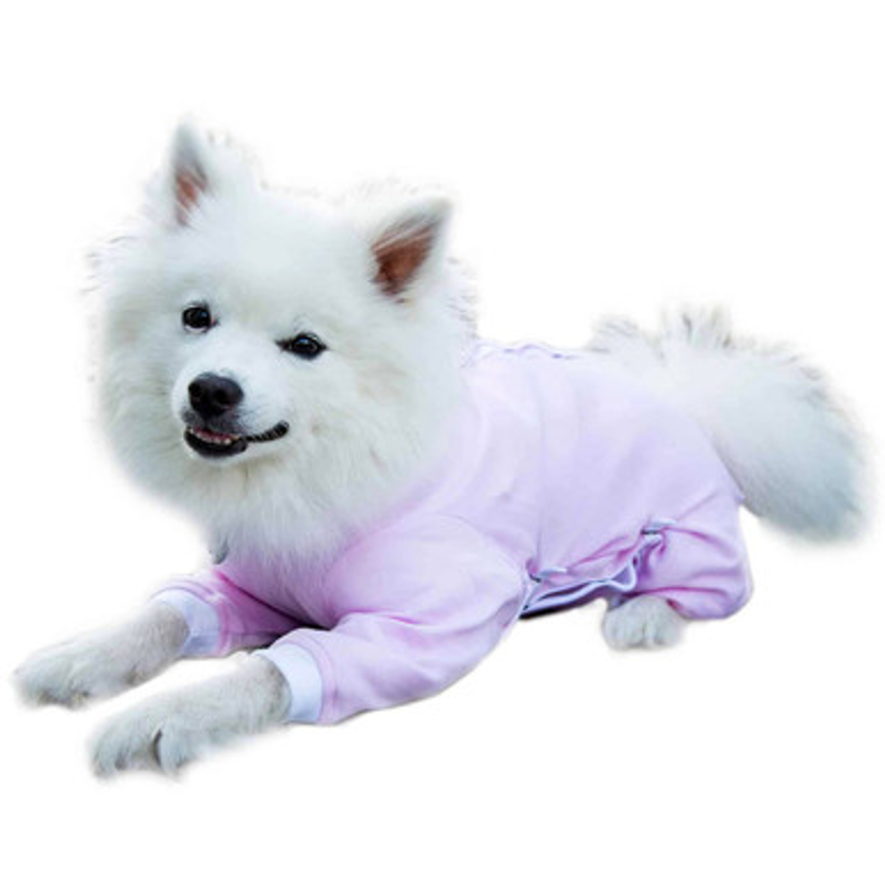 Cover Me by Tui for Dogs - S002548B002751P000002V034